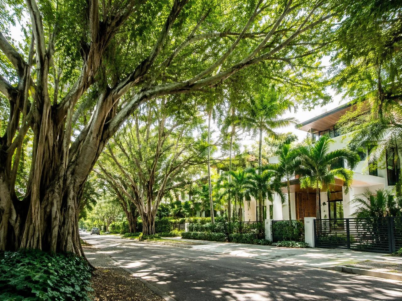 Coconut Grove